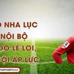 Bồ Đào Nha Lục Đục Nội Bộ: Ronaldo Lẻ Loi, Đồng Đội Áp Lực